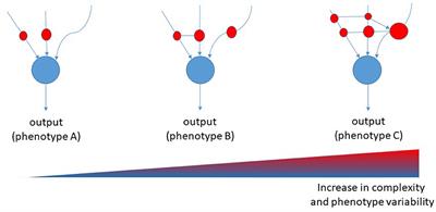 Is Alzheimer's disease an individual-centered disease? Hypotheses from the atomic levels up to mathematical models for biological systems